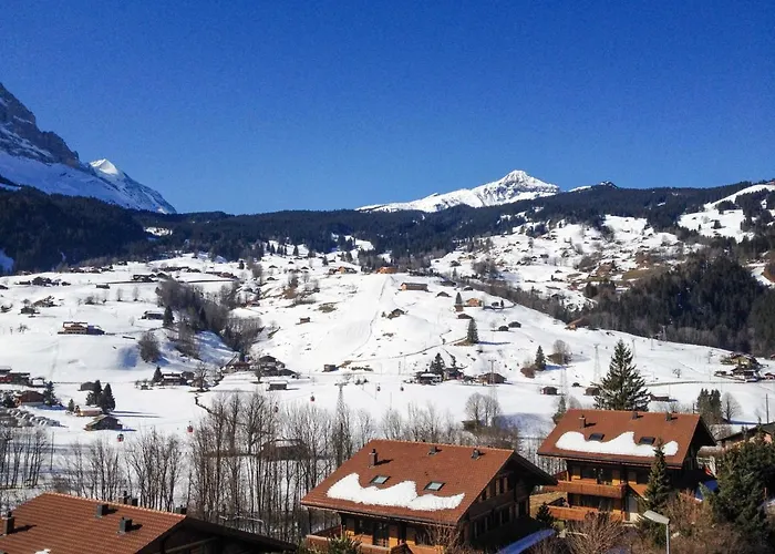 Beausite By Interhome Lejlighed Grindelwald